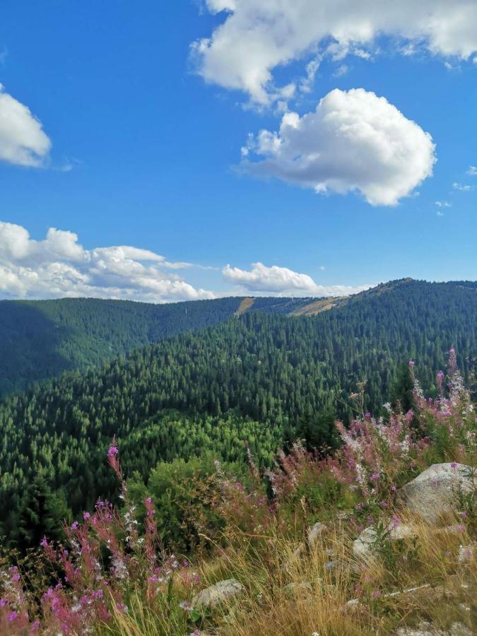 Hotel Trayal Крушевац Екстериор снимка
